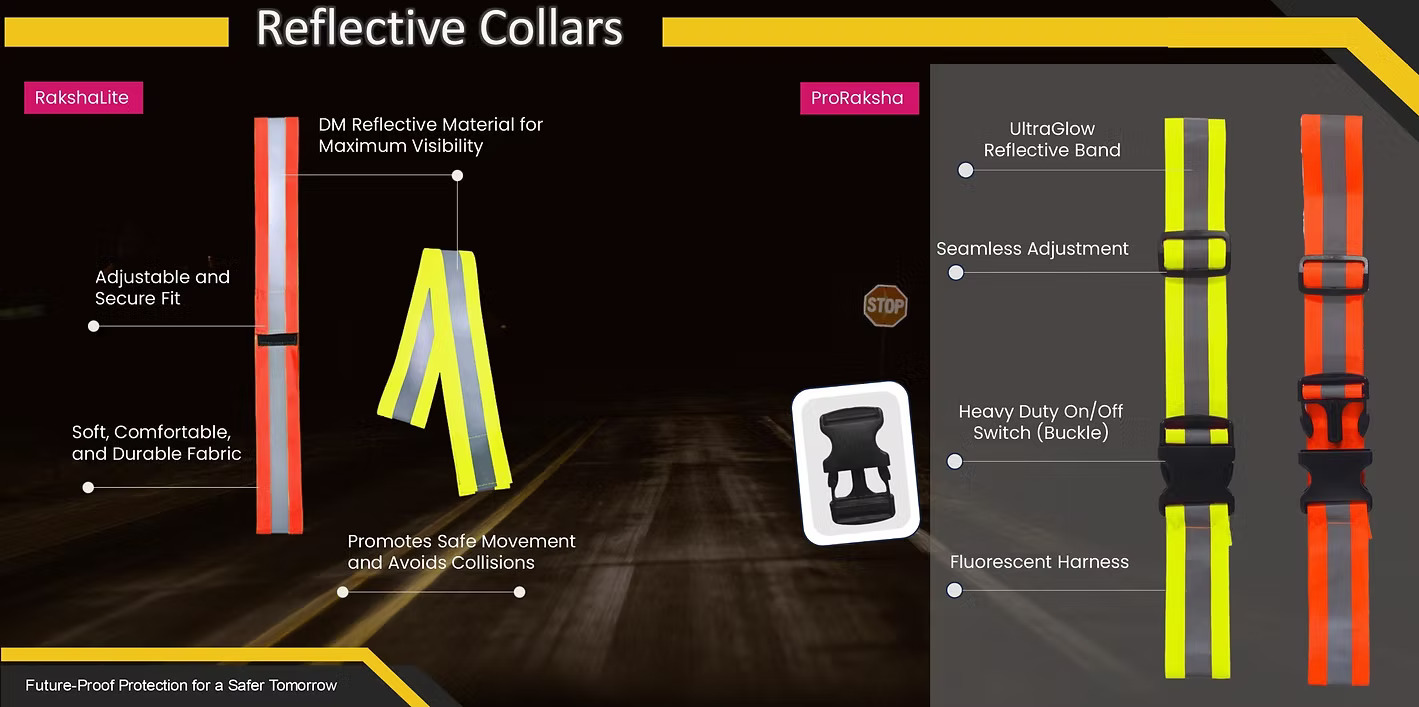 Reflective Belt on a Dog