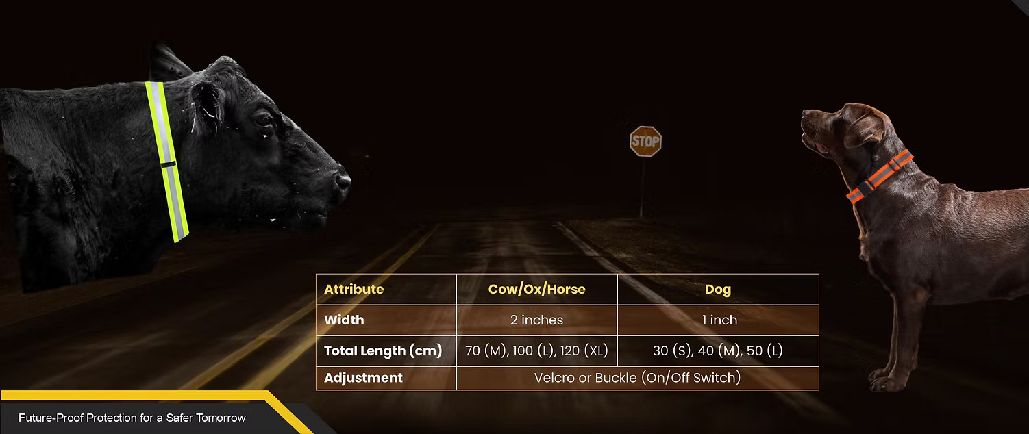 Reflective Belt on a Dog